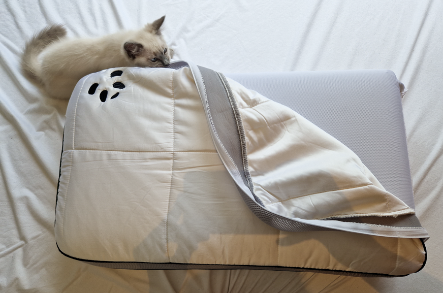 Panda Hybrid pillow cover and kitten